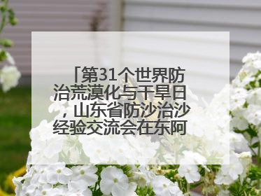 第31个世界防治荒漠化与干旱日，山东省防沙治沙经验交流会在东阿县举办
